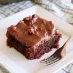Mama’s Mexican Chocolate Sheet Cake
